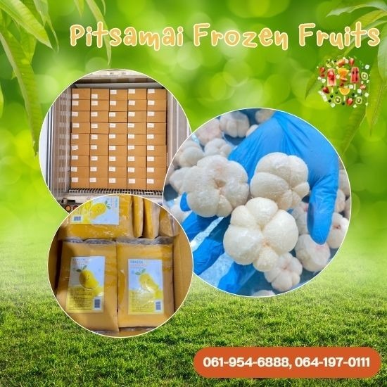 ขายส่งผลไม้แช่แข็ง