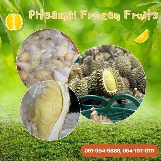 โรงงานผลิตเนื้อทุเรียนแช่แข็ง