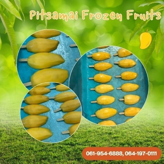 โรงงานผลิตมะม่วงแช่แข็งเสียบไม้