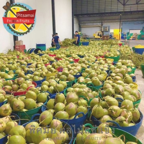 เนื้อมะพร้าวแช่แข็ง มังคุดแช่แข็ง บรรจุสุญญากาศ