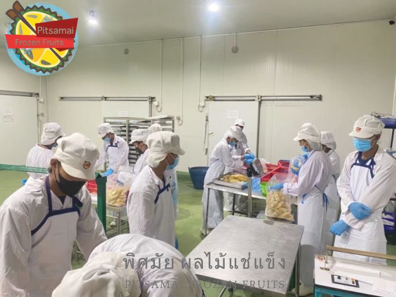 โรงงานผลิตเนื้อทุเรียนแช่แข็ง บรรจุเป็นแพ็ค โรงงานผลิตเนื้อทุเรียนแช่แข็ง บรรจุเป็นแพ็ค