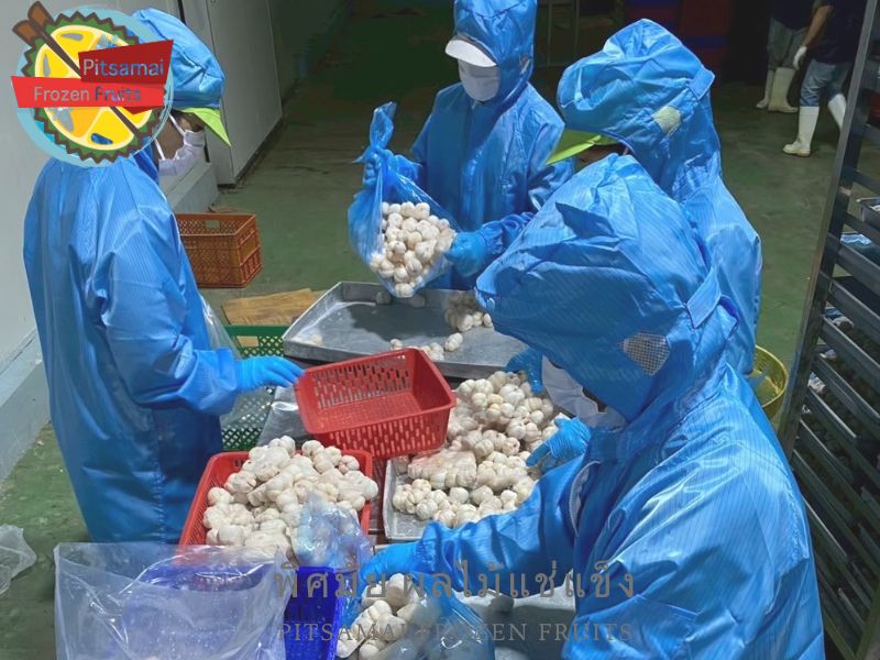 โรงงานแกะเนื้อมังคุดแช่แข็งบรรจุเป็นแพ็ค โรงงานแกะเนื้อมังคุดแช่แข็งบรรจุเป็นแพ็ค