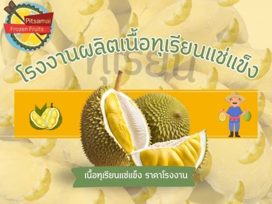 โรงงานผลิตเนื้อทุเรียนแช่แข็ง 